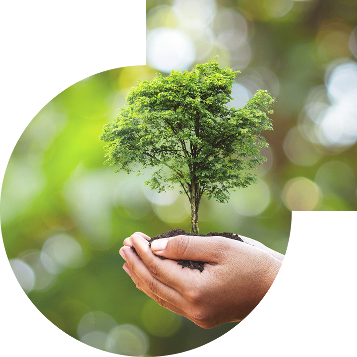 关怀人类、文化、环境与社会